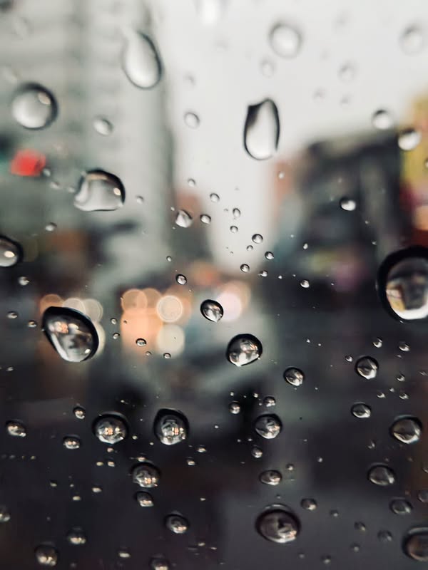 下雨好煩，今天先不要太勇敢
